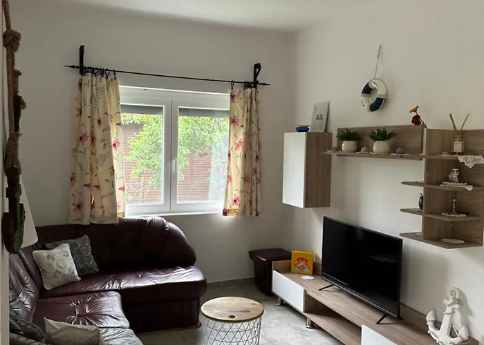 Bozso 鲍洛托内瑟德